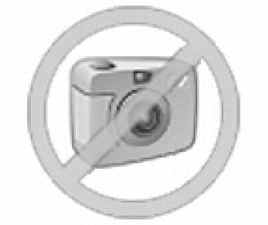 FIAT 500 SERIE 4 1.2 69 CH LIVE EDIZIONE