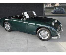 AUSTIN HEALEY SPRITE FROGEYE - 1959