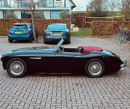 AUSTIN HEALEY 100 - 1959