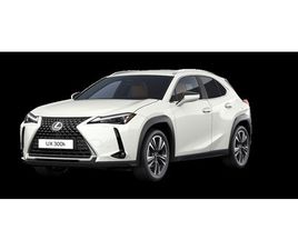 LEXUS UX 300H BUSINESS EDITION (2X4)