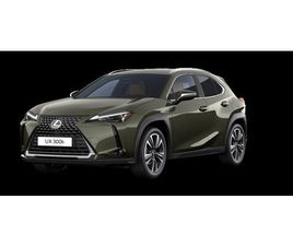 LEXUS UX 300H BUSINESS EDITION (2X4)