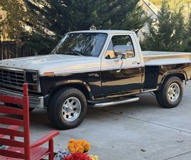 FORD F100 1981 FORD F-100