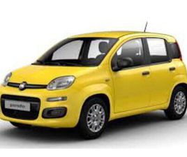FIAT PANDA 1.0 FIREFLY HYBRID ICON S&S 70CV NUOVA A TORINO
