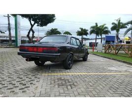 DIPLOMATA/DIPLOM. SLE 4.1/2.5