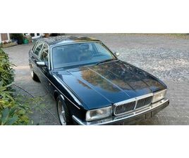 JAGUAR DAIMLER XJ 81 V12 LANG