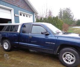 DODGE DAKOTA 2000 DODGE DAKOTA