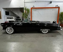 FORD THUNDERBIRD, BJ. 1955, SCHÖN