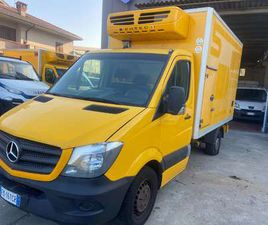 FRA/FRIGO/ATP VALIDO 2026/2017