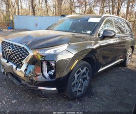HYUNDAI PALISADE CALLIGRAPHY