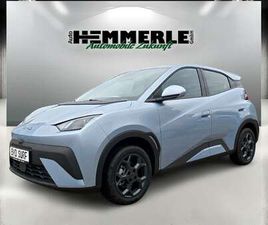 BYD DOLPHIN SURF COMFORT !!!