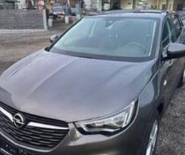 OPEL GRANDLAND X AUS HÖRBRANZ MIT 88 KW UND 55 TKM - LÄNDLEAUTO.AT