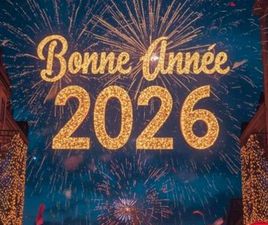 CITROEN BERLINGO SOCIETE VOITURE BERLINGO