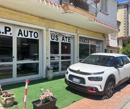 CITROEN C4 CACTUS CITROEN C4 CACTUS BLUEHDI 100 S&S SHINE PACK