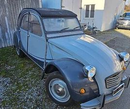 SCHÖNER DÖSCHWO CHARLESTON ZU VERKAUFEN CANTON BERNE - TUTTI.CH