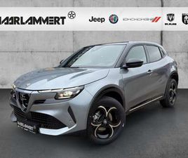 ELETTRICA 54 KWH INTENSA LAGERWAGEN