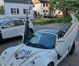 SMART ROADSTER MIT FLÜGELN TÜR
