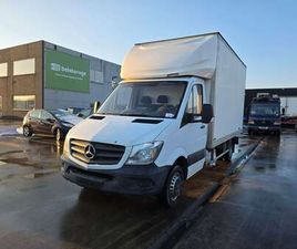 513 (STOCK ID 21174)