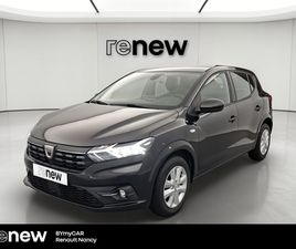 SANDERO ECO-G 100 - 22