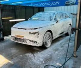 חשמלי אוט׳ (313 כ״ס)