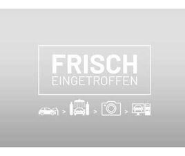 BYD DOLPHIN 43,2 KWH COMFORT ÖSTERREICH PAKET