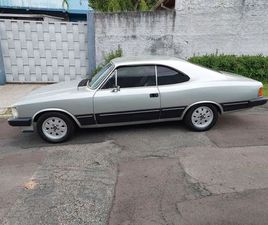 DIPLOMATA/DIPLOM. SLE 4.1/2.5