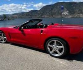 2006 CORVETTE ROADSTER