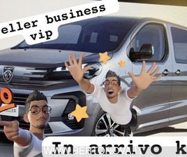 TRAVELLER TRAVELLER BLUEHDI 180 S&S EAT8 STANDARD BUSIN VIP