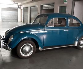 MAGGIOLINO 1200 MAGGIOLINO 1200