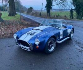 AC COBRA DAX — OLDTIMERS — MARKTPLAATS