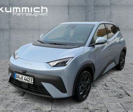 BYD DOLPHIN SURF COMFORT