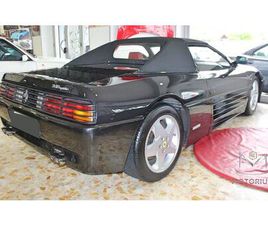 SPIDER CAT TUTTA CERTIFICATA