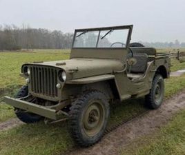 WILLYS MB — OLDTIMERS — MARKTPLAATS