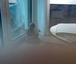 OTHER AUTO INFINITI FX30 D PREMIUM