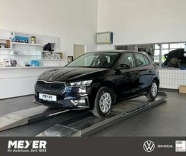 SELECTION 1.0 MPI *WINTERPAKET,LED*