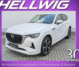 3.3L (254PS) TAKUMI ALLE PAKETE PANODACH 1.HAND