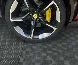 PUROSANGUE *UFFICIALE ITA, IVA ESPOSTA, FOTO IN P