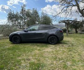 TESLA MODEL Y RWD
