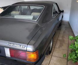 DIPLOMATA/DIPLOM. SLE 4.1/2.5