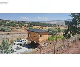 1.6 TRENDLINE VARIANT