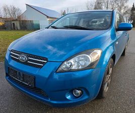 KIA ANDERE PROCEED SEVEN STARS