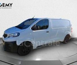 III FOURGON TOLE BLUEHDI 120 S&S M BVM6