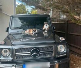 MERCEDES-BENZ RARER G65 AMG