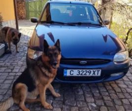 FORD ESCORT 1.8 ≫ 1997 • 1 200 EUR • ID