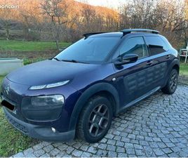 C4 CACTUS FINITION SHINE