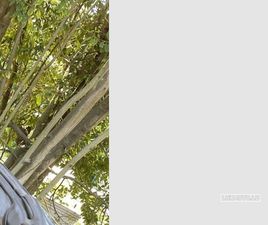 FERRARI PORTOFINO F1