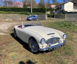 AUSTIN HEALEY 100 BN6 - 1958