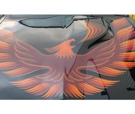 1980 PONTIAC FIREBIRD TRANS AM A VENDRE