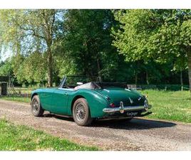 AUSTIN HEALEY 3000 BJ8