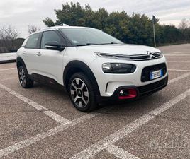 C4 CACTUS