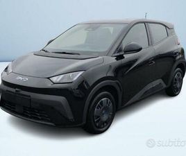 BYD DOLPHIN SURF ACTIVE